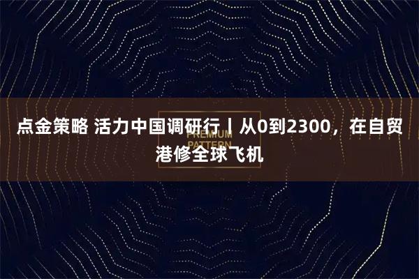点金策略 活力中国调研行丨从0到2300，在自贸港修全球飞机