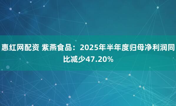 惠红网配资 紫燕食品：2025年半年度归母净利润同比减少47.20%