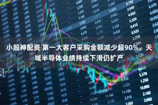 小股神配资 第一大客户采购金额减少超90%，天域半导体业绩持续下滑仍扩产